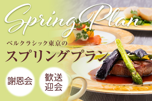 スプリングプラン